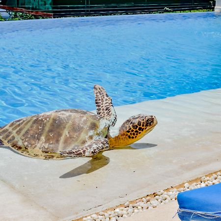 Villa Del Pescador Zihuatanejo Bagian luar foto